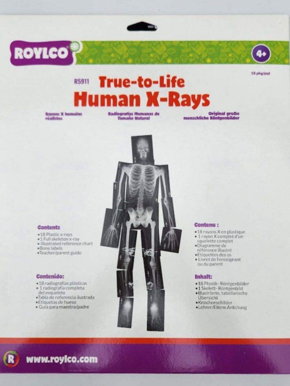 NEW Roylco True-to Life Human X-Rays - Age 4+ R5911 XRays Nancy Larson School Su